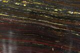 Polished Tiger Iron Stromatolite Slab - Billion Years #351812-1